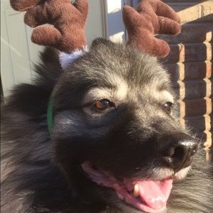 Meet your Posher, Ella